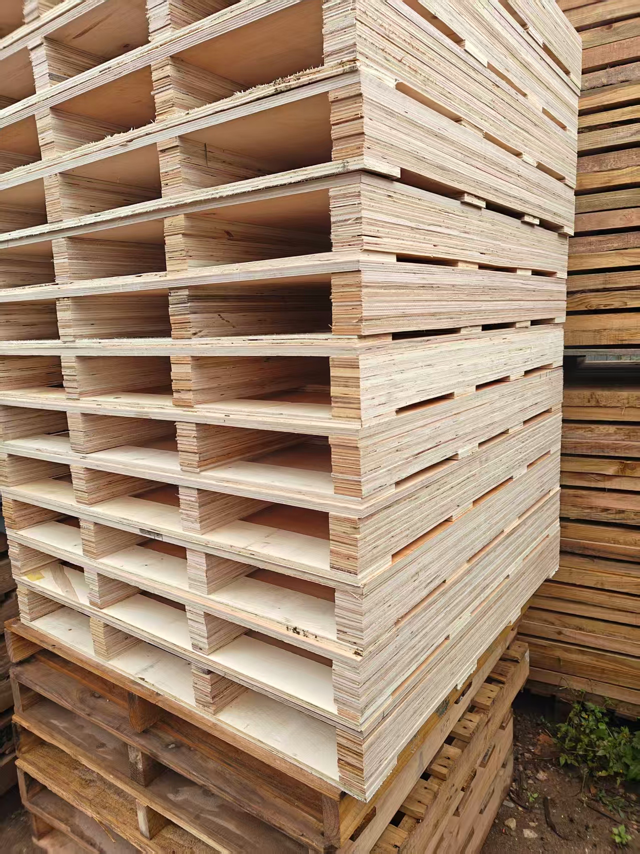 定制化标准托盘